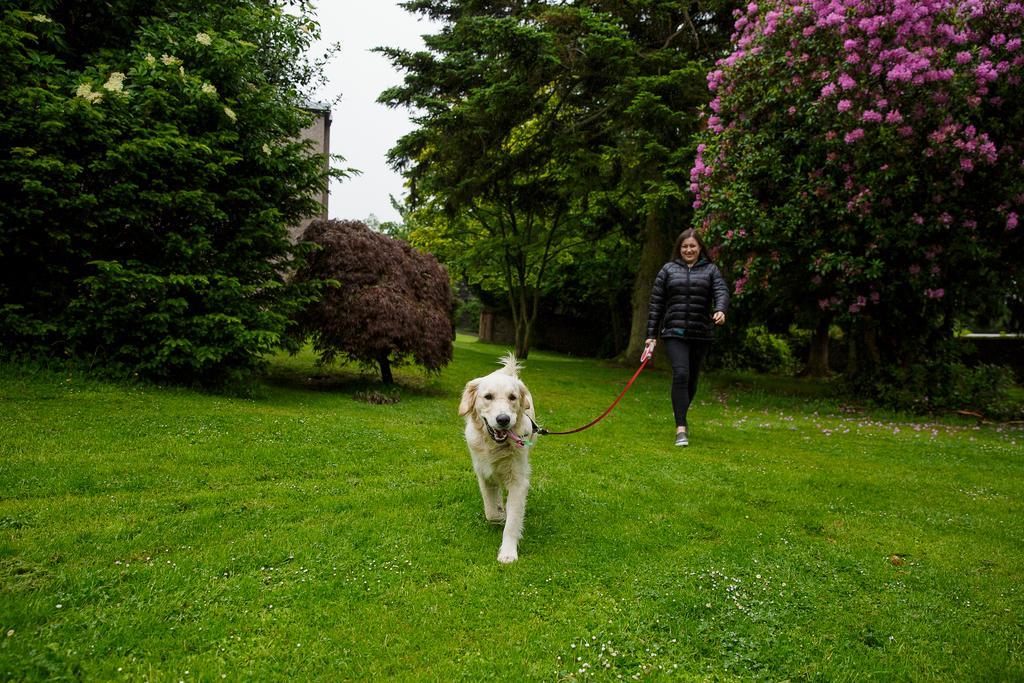 The Murray Park Hotel Crieff Εξωτερικό φωτογραφία
